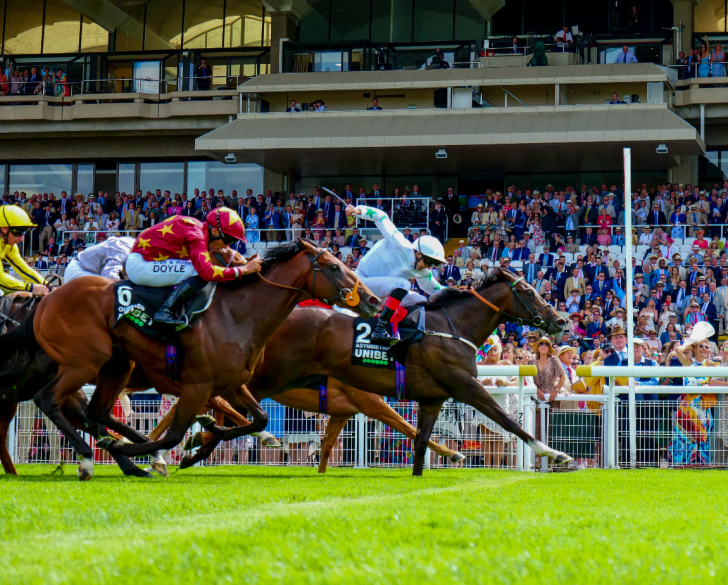 Today's Racing News: Everything backed at Goodwood in Golden Mile 